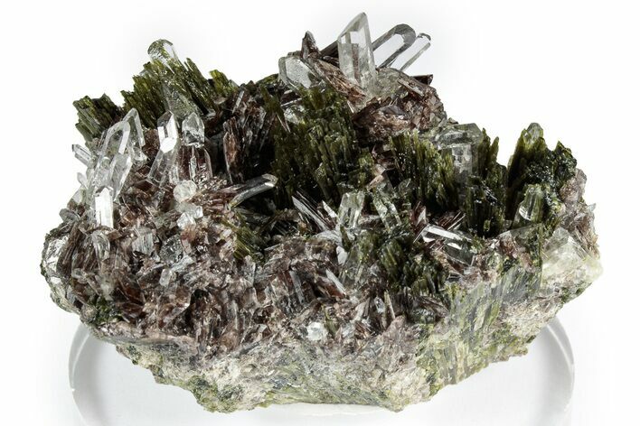 Sharp Axinite Crystal Cluster with Green Epidote - Peru #347933